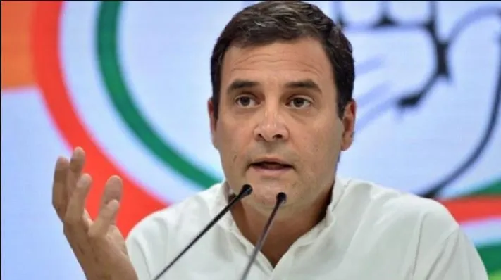 देश में आर्थिक मंदी दिख रही है, भाजपा के पास कोई जवाब नहीं: राहुल गांधी