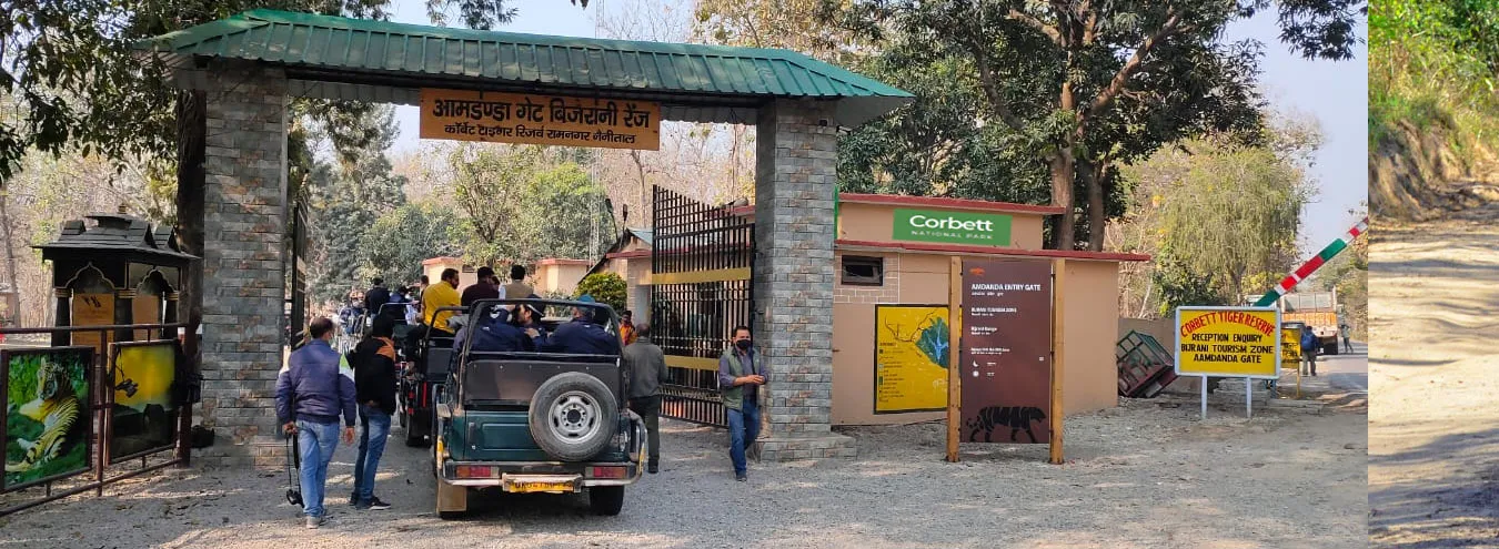 हल्द्वानी: कार्बेट पार्क में आज से नहीं हो पाएगा नाइट स्टे, ढिकाला जोन में सफारी भी बंद