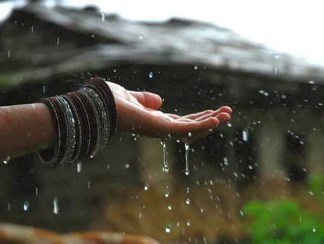 हल्द्वानी समेत जिले में कई जगह हुई बारिश