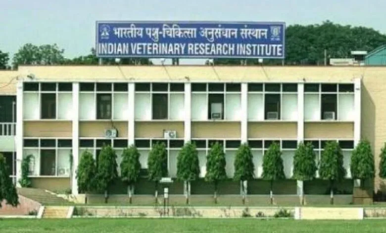 बरेली: आईवीआरआई में बिना चीरे के पशुओं में पथरी की बीमारी का हो रहा इलाज