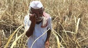 खटीमा: सहकारी समिति में पद खाली, किसान परेशान