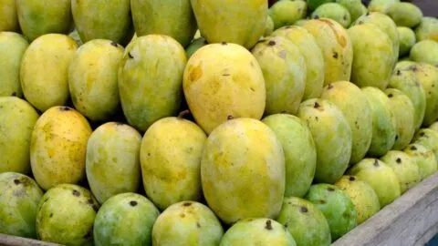 हल्द्वानी में हर दो किलोमीटर में बदल रहे फलों के राजा के तेवर