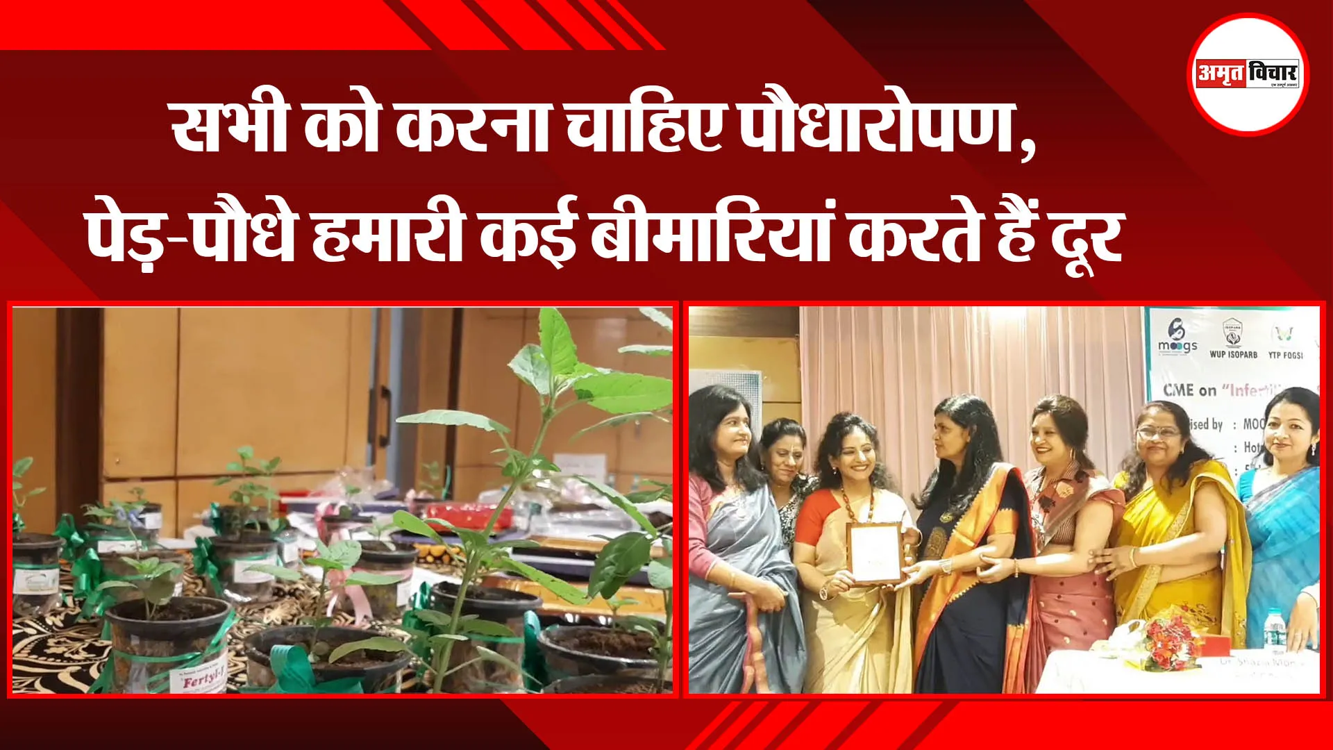 मुरादाबाद : सभी को करना चाहिए पौधारोपण, पेड़-पौधे हमारी कई बीमारियां करते हैं दूर