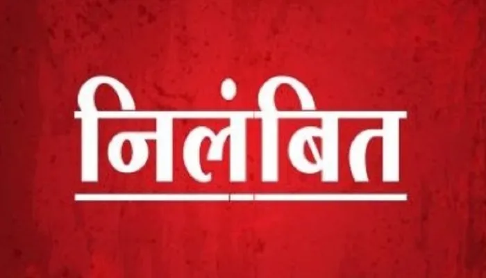 छत्तीसगढ़: कटाई व तस्करी के मामले में तीन वनकर्मी निलंबित