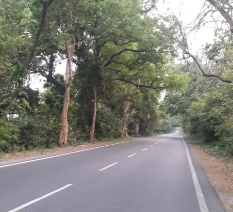 16 और 17 जून की रात बंद रहेगा रुद्रपुर- हल्द्वानी मार्ग, यह है वजह