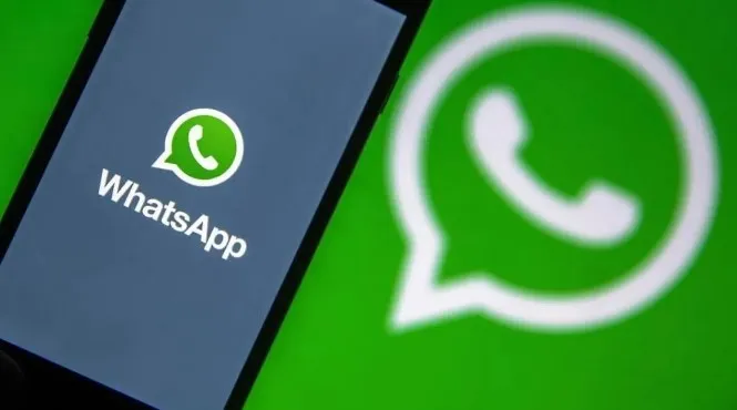पैन कार्ड और ड्राइविंग लाइसेंस आसानी से WhatsApp से करें डाउनलोड, जानें कैसे?