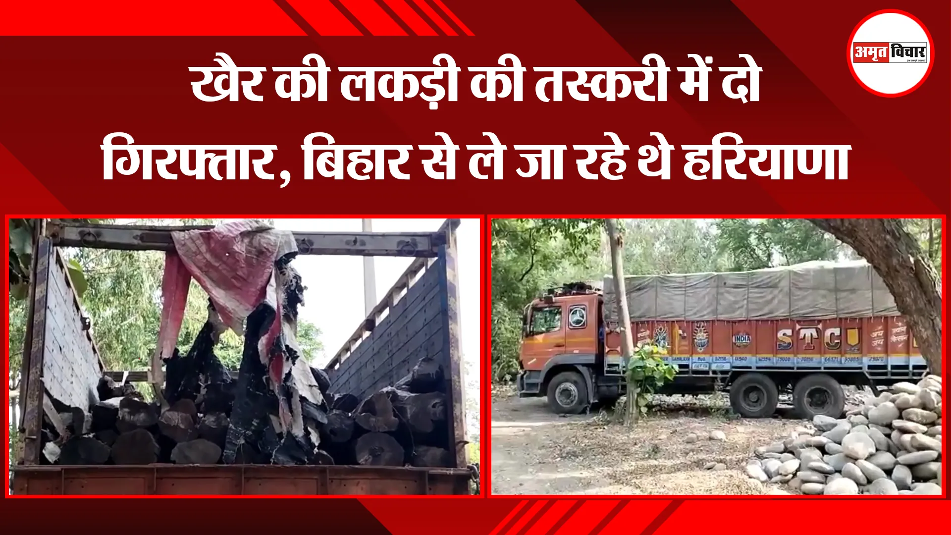 मुरादाबाद: खैर की लकड़ी की तस्करी में दो गिरफ्तार, बिहार से ले जा रहे थे हरियाणा