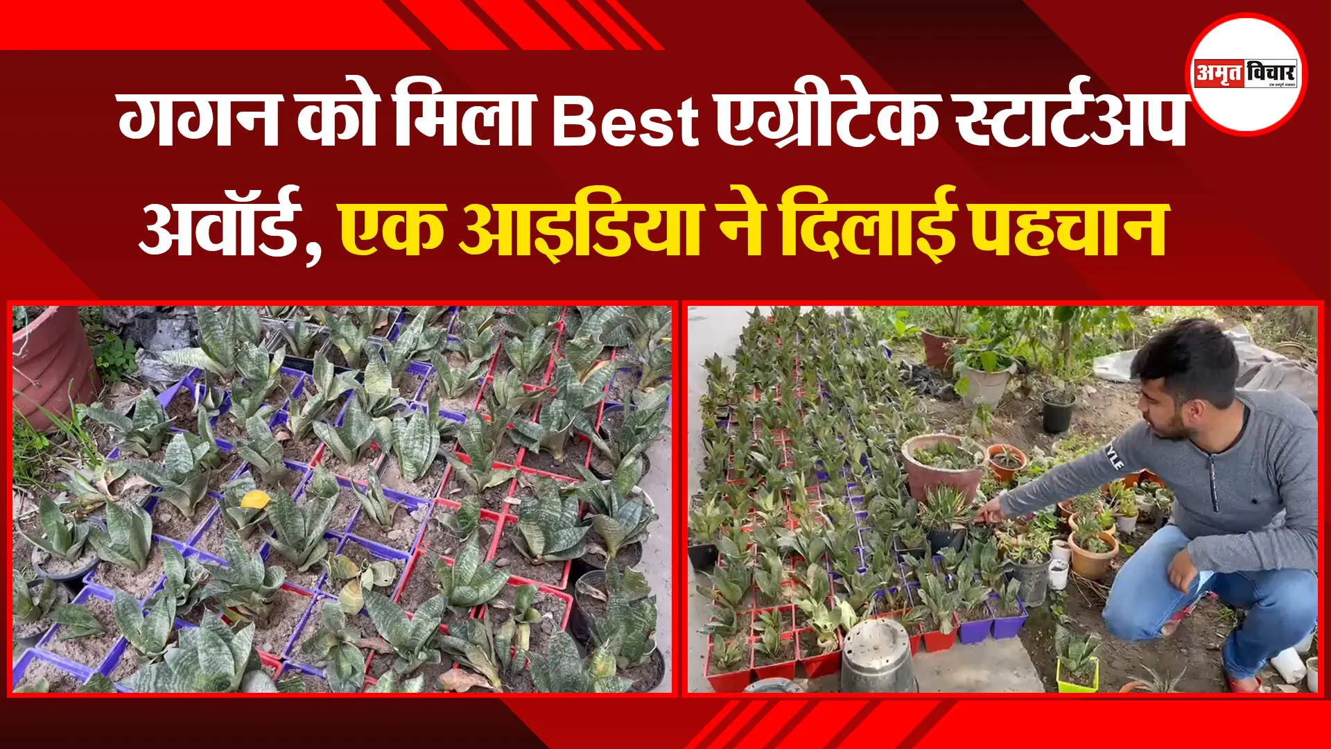 हल्द्वानी: गगन को मिला Best एग्रीटेक स्टार्टअप अवॉर्ड, एक आइडिया ने दिलाई पहचान