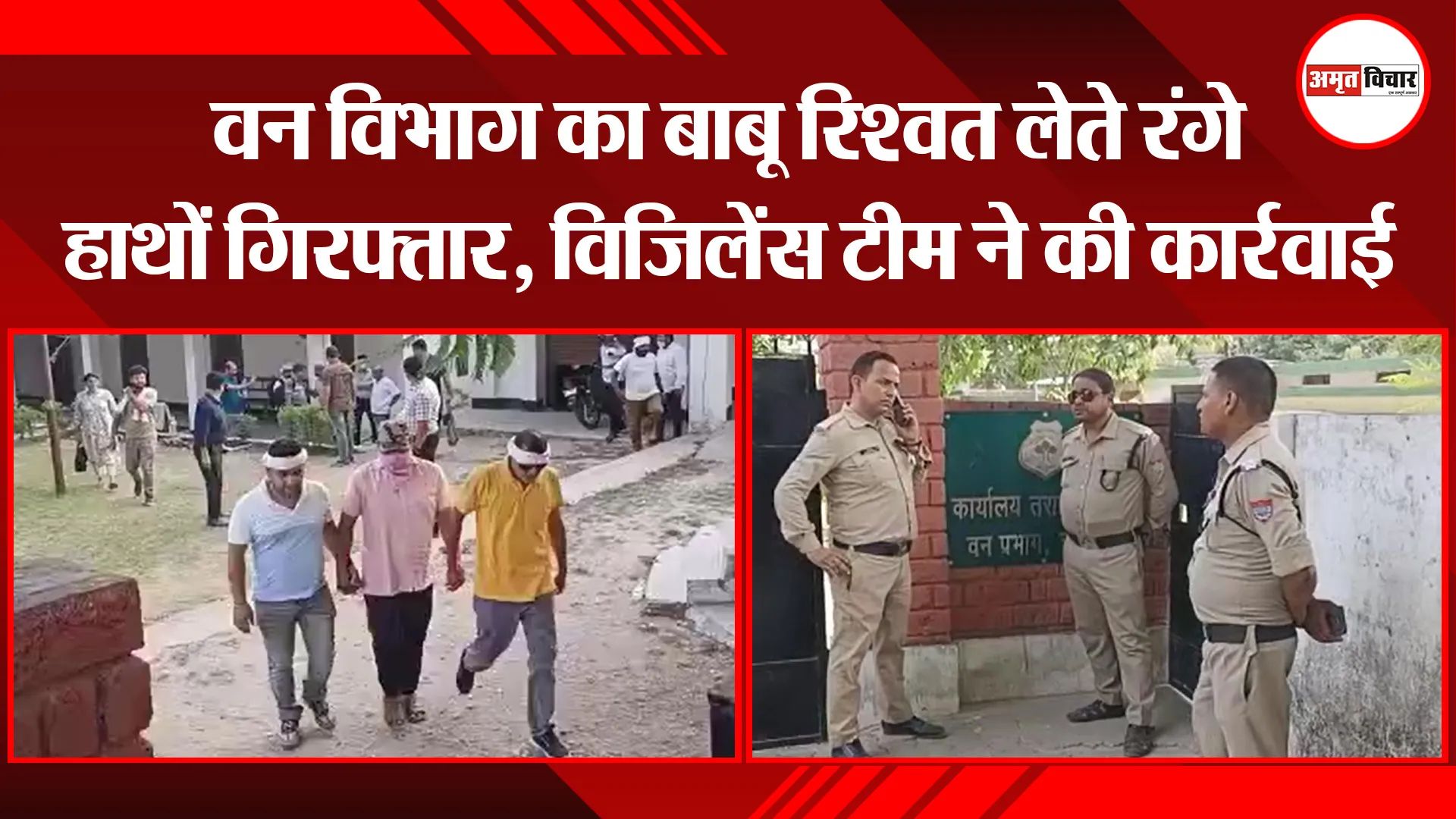 हल्द्वानी: वन विभाग का बाबू रिश्वत लेते रंगे हाथों गिरफ्तार, विजिलेंस टीम ने की कार्रवाई