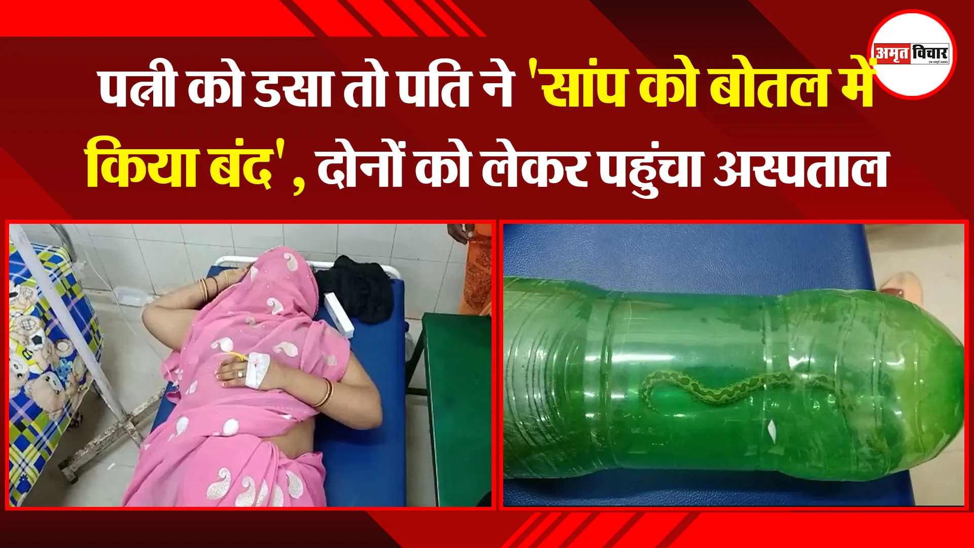 उन्नाव: पत्नी को डसा तो पति ने ‘सांप को बोतल में किया बंद’, दोनों को लेकर पहुंचा अस्पताल