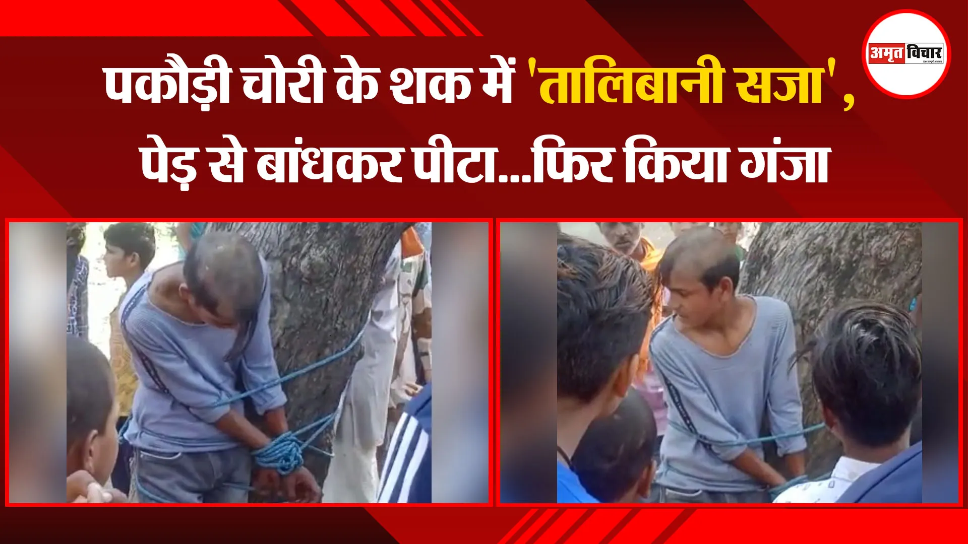 बिजनौर: पकौड़ी चोरी के शक में ‘तालिबानी सजा’, पेड़ से बांधकर पीटा…फिर किया गंजा