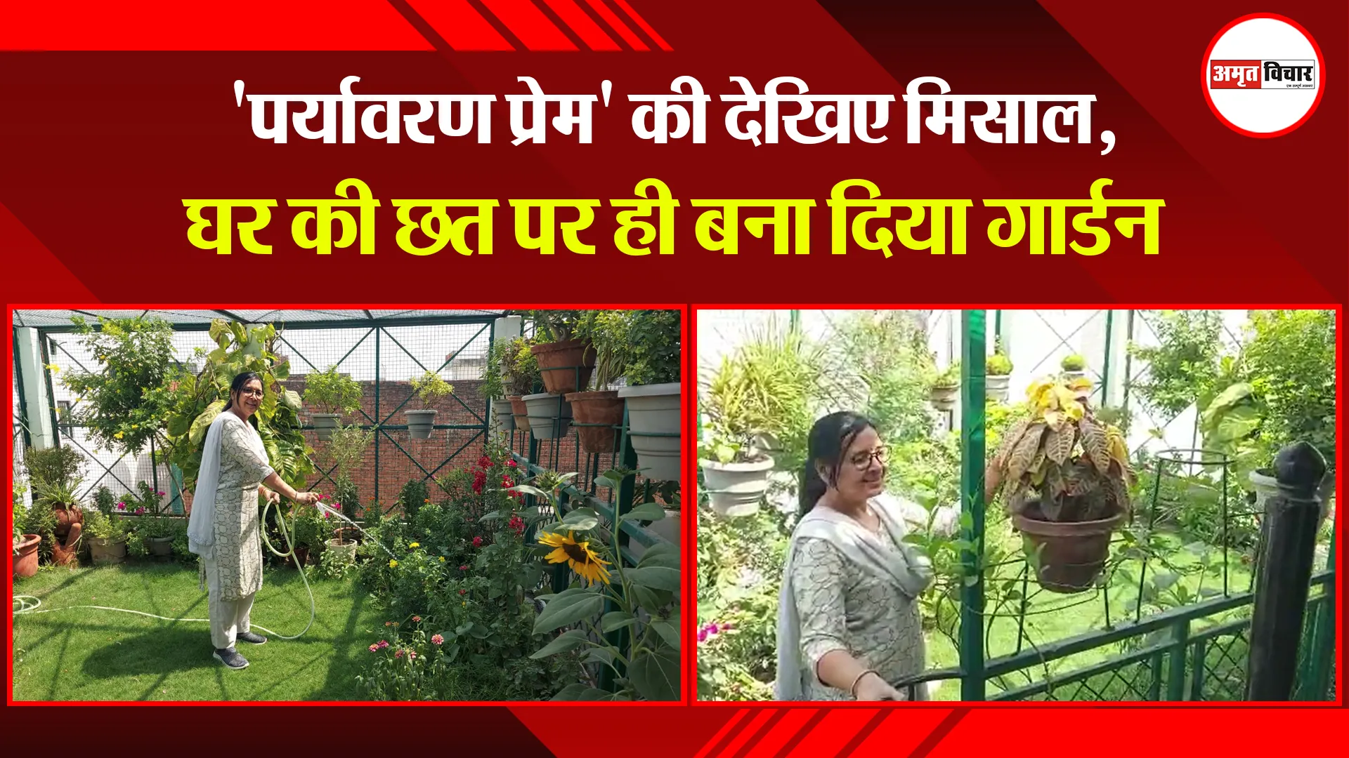 शाहजहांपुर: ‘पर्यावरण प्रेम’ की देखिए मिसाल, घर की छत पर ही बना दिया गार्डन