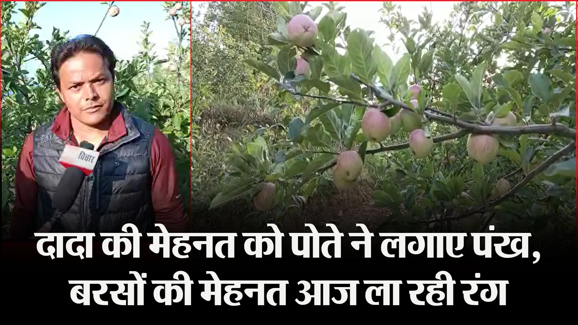 मुक्तेश्वर: दादा की मेहनत को पोते ने लगाए पंख, बरसों की मेहनत आज ला रही रंग