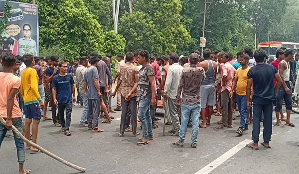 अमरोहा: जंगल से घास लेने गई महिला पर जंगली कुत्तों ने किया हमला, मौत