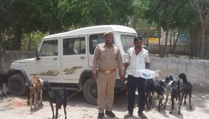 फतेहपुर: ललौली पुलिस ने एक अंतर्जनपदीय पशु चोर को किया गिरफ्तार