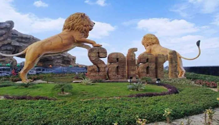 इटावा सफारी में कैंसर संक्रमित ‘मनन’ शेर की मौत