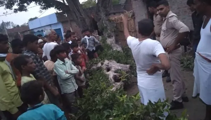 बहराइच में दर्दनाक हादसा: पेड़ से टूटकर गिरी डाल, दादी-पोते की मौत