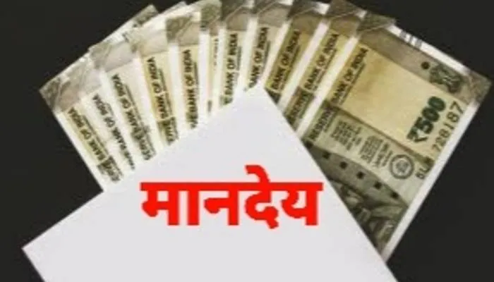 गोंडा: ग्राम रोजगार सेवकों ने बकाया मानदेय की मांग को लेकर बीडीओ को सौंपा ज्ञापन