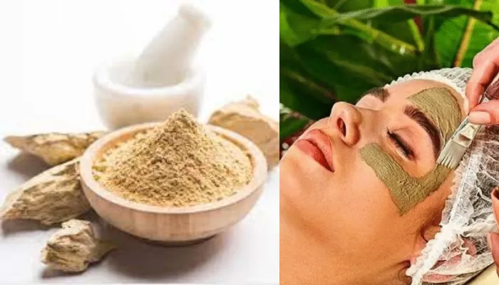 Skin Care: बदलते मौसम में त्वचा का रखना है खास ख्याल, तो मुलतानी मिट्टी पाउडर का ऐसे करें उपयोग