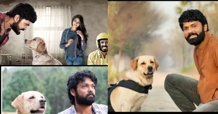 777 Charlie Review: लोगों को भा रही रक्षित शेट्टी की मूवी, Viewers ने कहा- फिल्म दिल को छू लेने वाली है