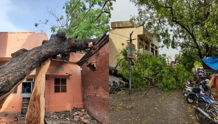 बहराइच: तेज हवाएं और बारिश बनी आफत, कहीं मकान तो कहीं सड़क पर गिरे पेड़