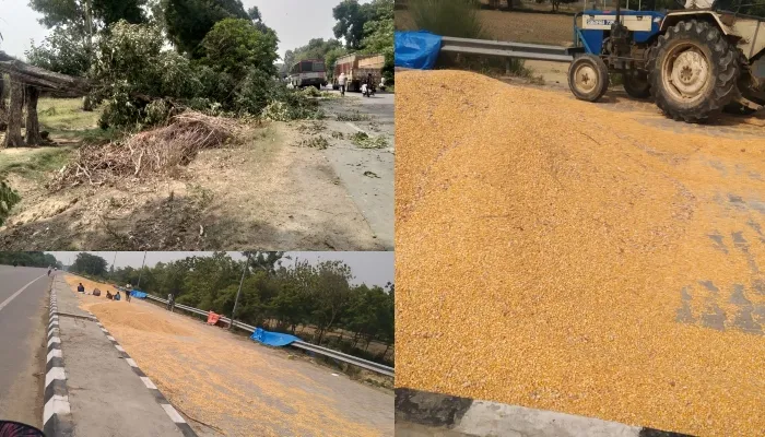 बहराइच: आंधी और पानी में गिर गए पेड़, कई क्विंटल मक्का भीगा