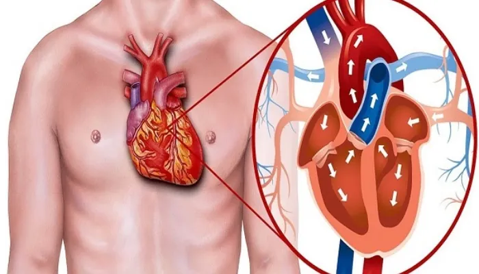 शरीर को स्वस्थ रखने के लिए Cholesterol को करें कंट्रोल, जानें लक्षण और कारण
