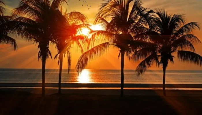 आ गई याद शाम ढलते ही…