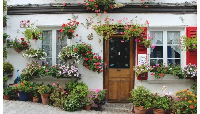 घर में लगाये Magical Flowers, रिश्तों में आएगी नजदीकियां, जानें इन फूलों के नाम