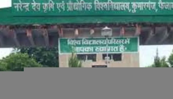 अयोध्या: दागी शिक्षक पर कुलपति हुए मेहरबान, डॉ. अशोक को दिया निदेशक प्रशासन व परिवीक्षण का पद