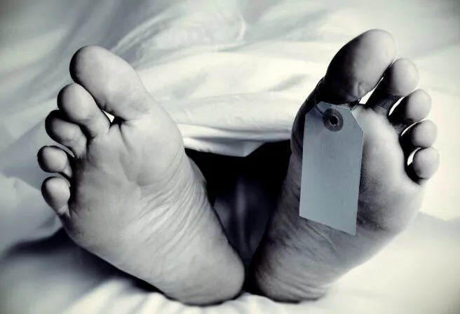 बरेली: शराब भट्टी के पास खाली प्लॉट में मिला युवक का शव, जांच पड़ताल में जुटी पुलिस