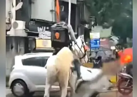 अब Swiggy ने खुद बताया- डिलीवरी बैग के साथ घोड़े पर दिखा लड़का क्या काम करता है