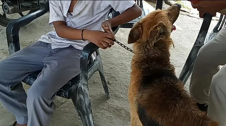 बरेली: पालतू कुत्ते संग बच्चे को सड़क पर रोता बिलखता छोड़ गए मां-बाप, कारण जानकार हो जाएंगे हैरान