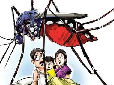 हल्द्वानी: डेंगू-मलेरिया को लेकर स्वास्थ्य विभाग अलर्ट