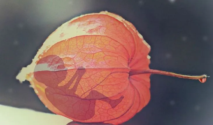 रेप पीड़िता को बच्चे को जन्म देने के लिए मजबूर नहीं किया जा सकता : बॉम्बे HC