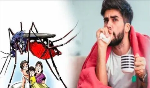 हल्द्वानी: मानसून सीजन में डेंगू व मलेरिया को लेकर एक्टिव हुआ स्वास्थ्य विभाग