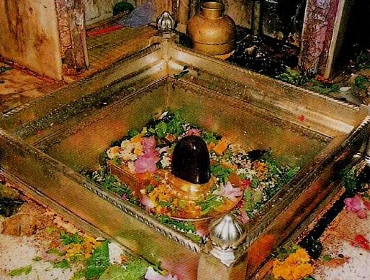 Special arrangements made in Kashi Vishwanath for Mahashivratri | महाशिवरात्रि को लेकर काशी विश्वनाथ में प्रशासन ने की खास व्यवस्था | Hindi News, खबरें काम की