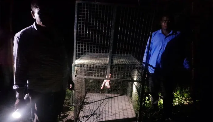 अयोध्या: छावनी इलाके में तेंदुए का खौफ बरकरार, दिन-रात हो रही पेट्रोलिंग