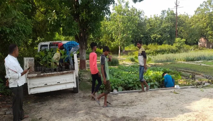 अयोध्या: रोपे जाएंगे 41 लाख पौधे, डिप्टी सीएम करेंगे कार्यक्रम की शुरुआत व पंचवटी की स्थापना
