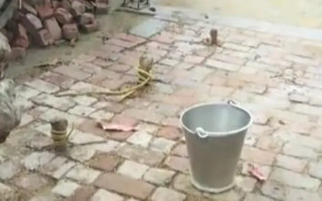 इटावा : हैरतअंगेज तरीके से गायब हुई 90 हजार रुपये कीमत की बकरियां, कार्रवाई में जुटी पुलिस
