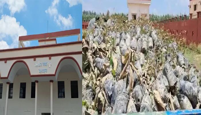 बहराइच: कागजों में हो गया पौधरोपण, तहसील में सूख रहे पौधे, जवाब देने से कतरा रहे SDM