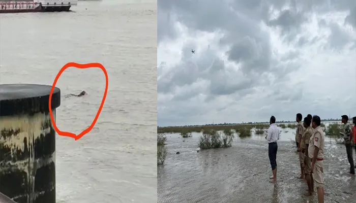 बहराइच: बैराज में पानी के बीच तैरता दिखा बाघ, ड्रोन से हो रही तलाश