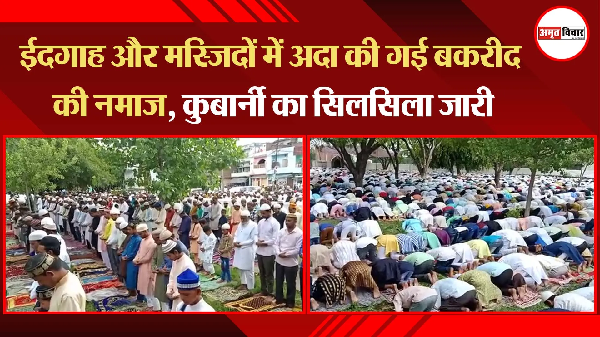 बरेली: ईदगाह और मस्जिदों में अदा की गई बकरीद की नमाज, कुर्बानी का सिलसिला जारी