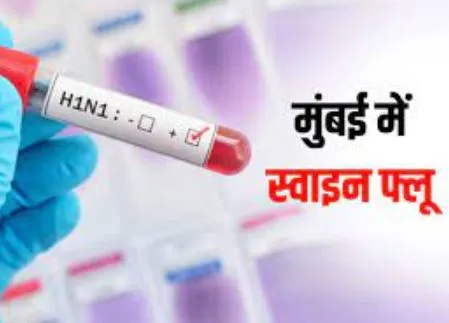 मुंबई और उसके आसपास के क्षेत्र में इस साल स्वाइन फ्लू के सामने आए 62 मामले