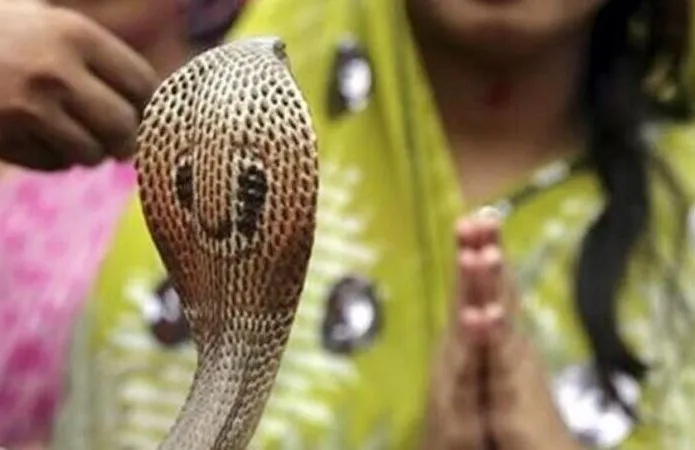 2 अगस्त 2022 को है नागपंचमी, घर के बारह लिखें 1 नाम, कभी प्रवेश नहीं करेंगे सांप!