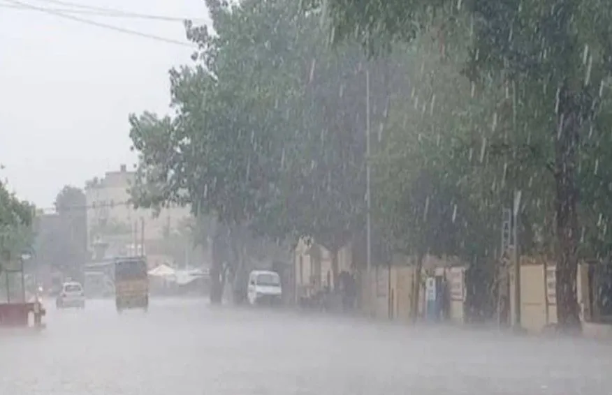 Heavy Rain in Chhattisgarh: बस्तर अंचल में मूसलाधार बारिश से कई जिलों में बाढ़ जैसे हालत, कई गांव टापू में तब्दील