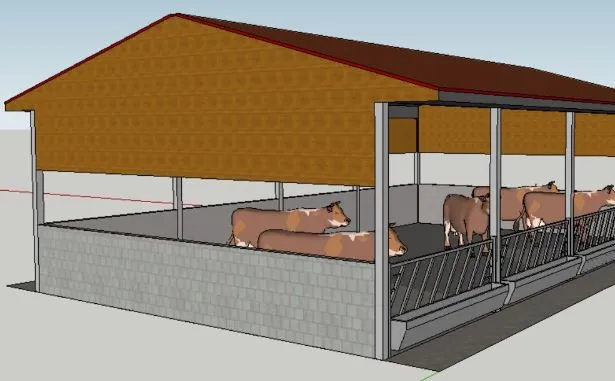 बरेली: गो आश्रय स्थल निर्माण में रोड़ा बनी विवादित जमीन