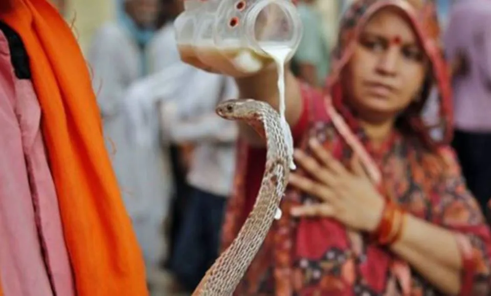 Nag Panchami 2022: 2 अगस्त को नागपंचमी पर्व, राशियों के अनुसार इस मंत्रों से करें नाग देवता की पूजा