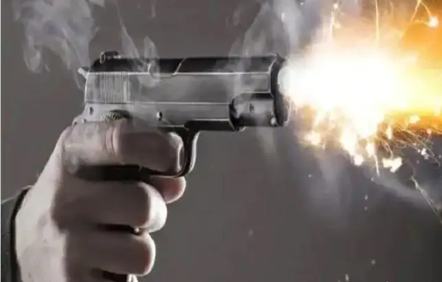 लखीमपुर-खीरी: फायर किया, बच गया तो तमंचे की बट युवक के सिर पर मारी, घायल