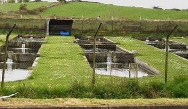 अब खेती-किसानी में इतिहास रचेगा मुरादाबाद मंडल